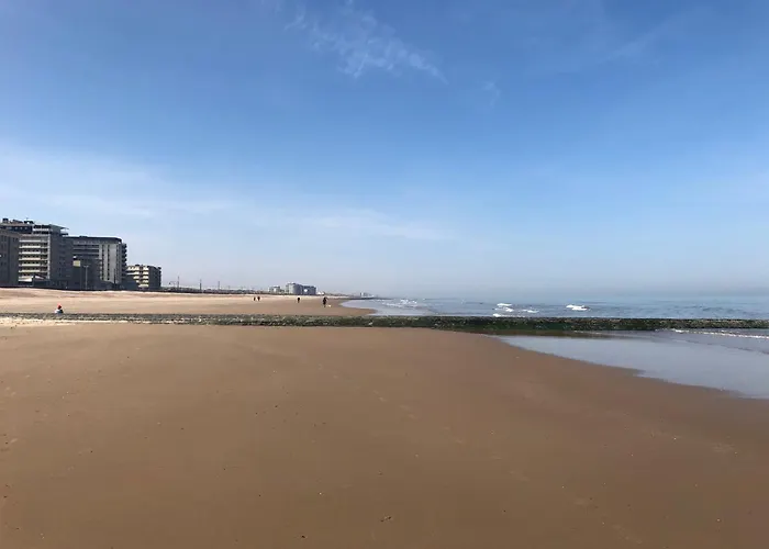 公寓 Copacabana 奥斯滕德